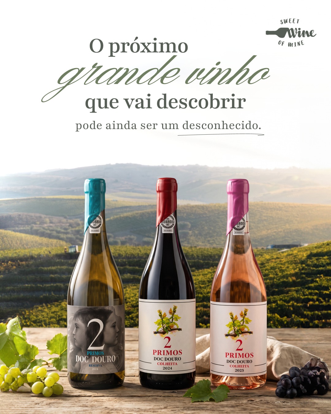 Publicação com os vinhos 2 Primos DOC Douro